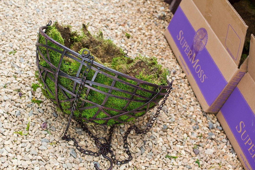 Super Moss 10'' Pine Grass