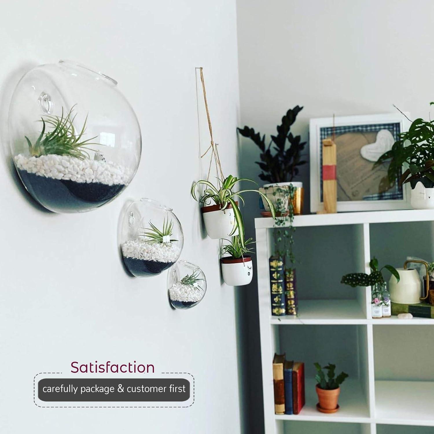 WGV Half Round Wall Hanging Terrarium - 6" Wide x 4" Depth, Good quality, Heavy Weighted Base - 1 Pc