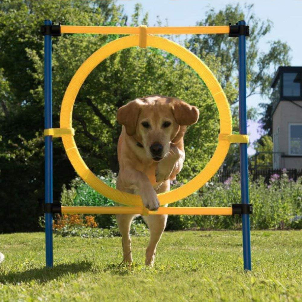 PAWISE Dog Training Exercise Equipment,Puppy Agility Training Kit, Jump Ring Outdoor,Playground Equipment Outdoor,Dog Agility Jumps for Backyards, Parks, and Playgrounds