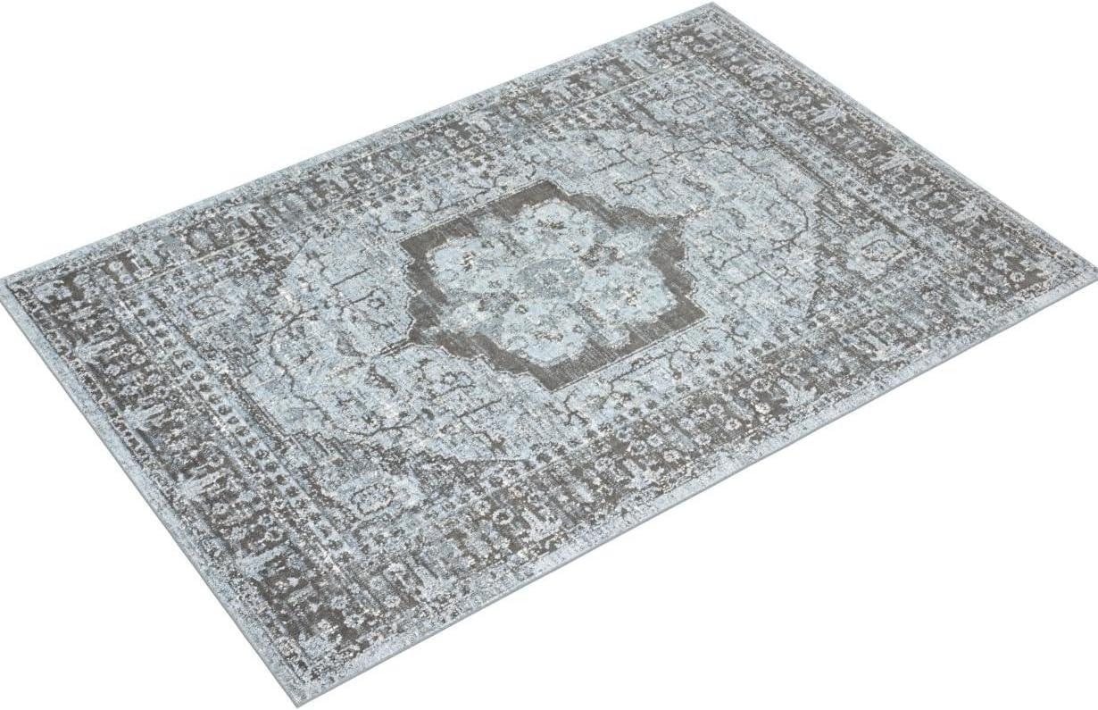 Sky Charcoal 4' x 6' Synthetic Stain-Resistant Area Rug