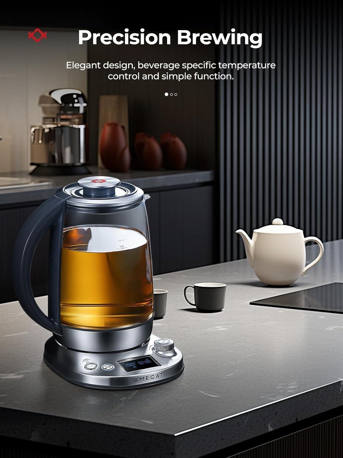 Stainless Steel Borosilicate Glass Electric Tea Kettle with Infuser