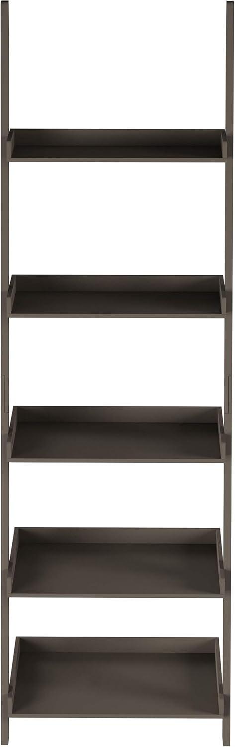 Ladder Bookshelf- 5 Tier Leaning Decorative Shelves for Display-Slate Gray Shelf Stand-Living Room Bathroom & Kitchen Shelving by Lavish Home