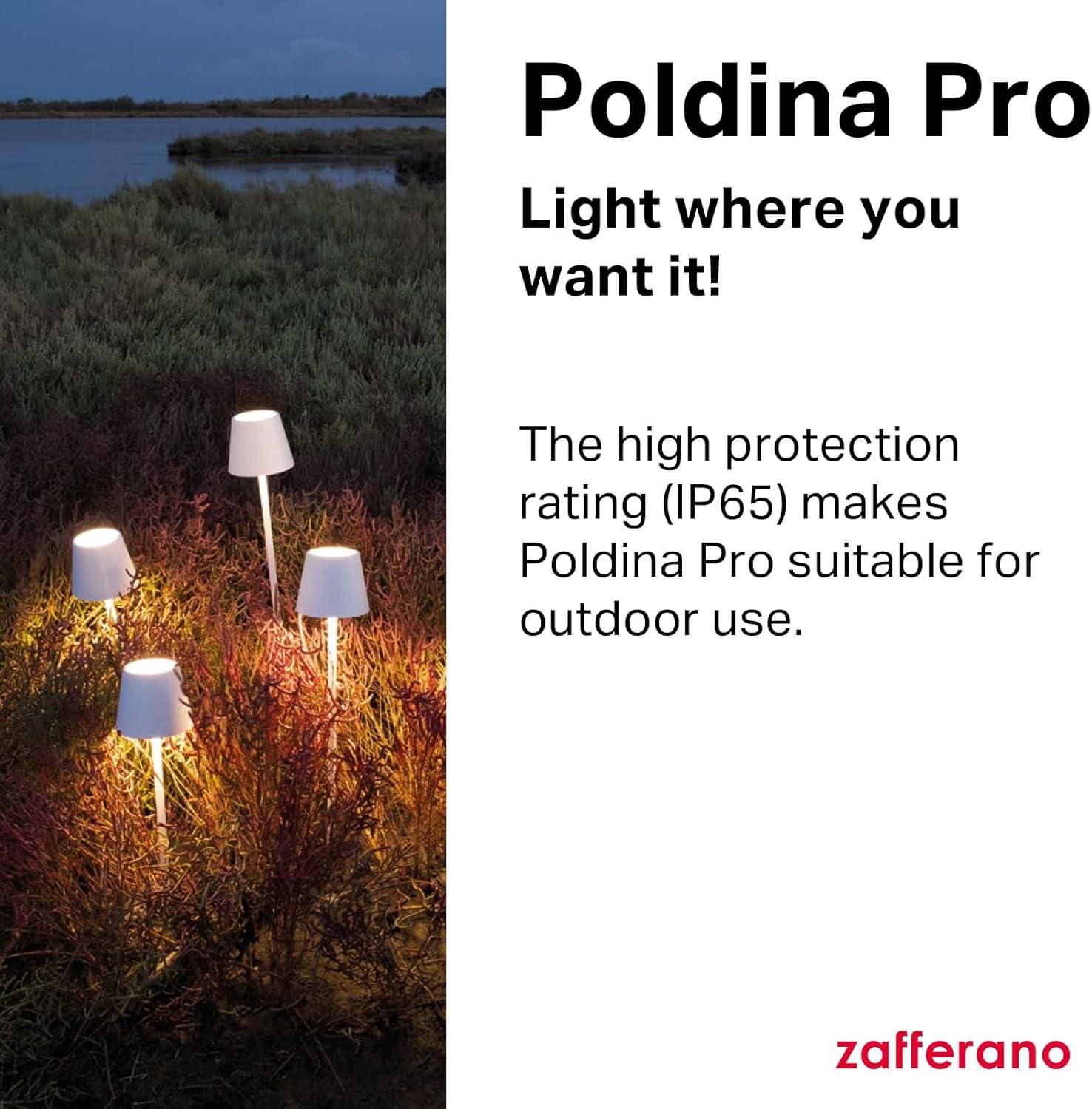 Poldina Pro L Desk Lamp