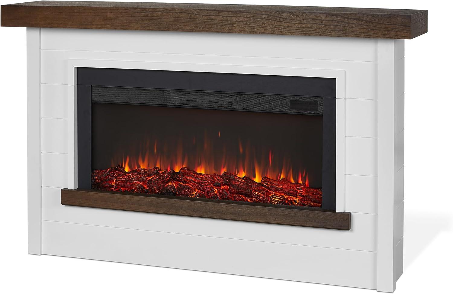 Bernice 65" Landscape Electric Fireplace by Real Flame