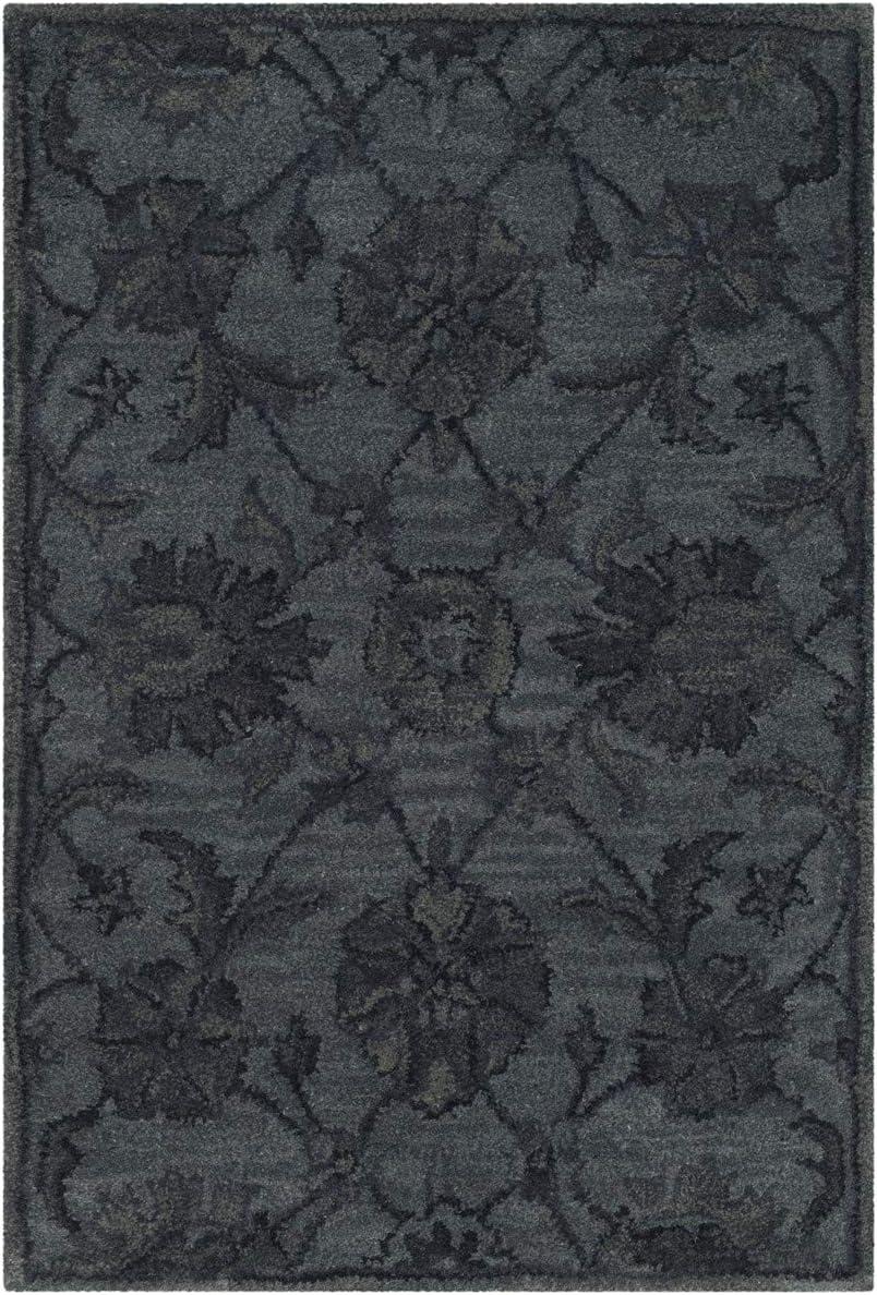 Antiquity AT824 Hand Tufted Area Rug  - Safavieh