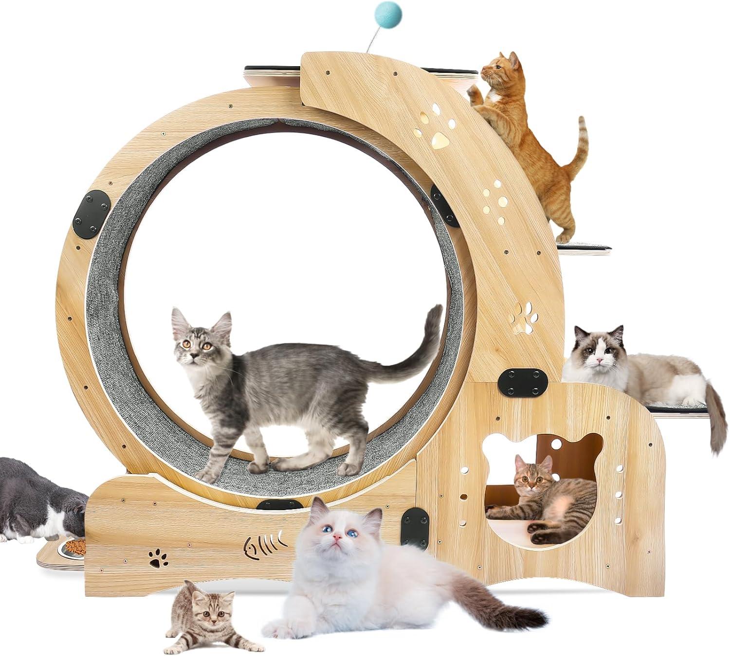 CuisinSmart Cat Running Wheel Nature Wood Kitty Large Wooden Running Wheel Pet Toy Cats Loss Weight Device Cat Rotating Wheel 4 in 1 Ultra Quiet Large Cat Wheel Exercise Treadmill