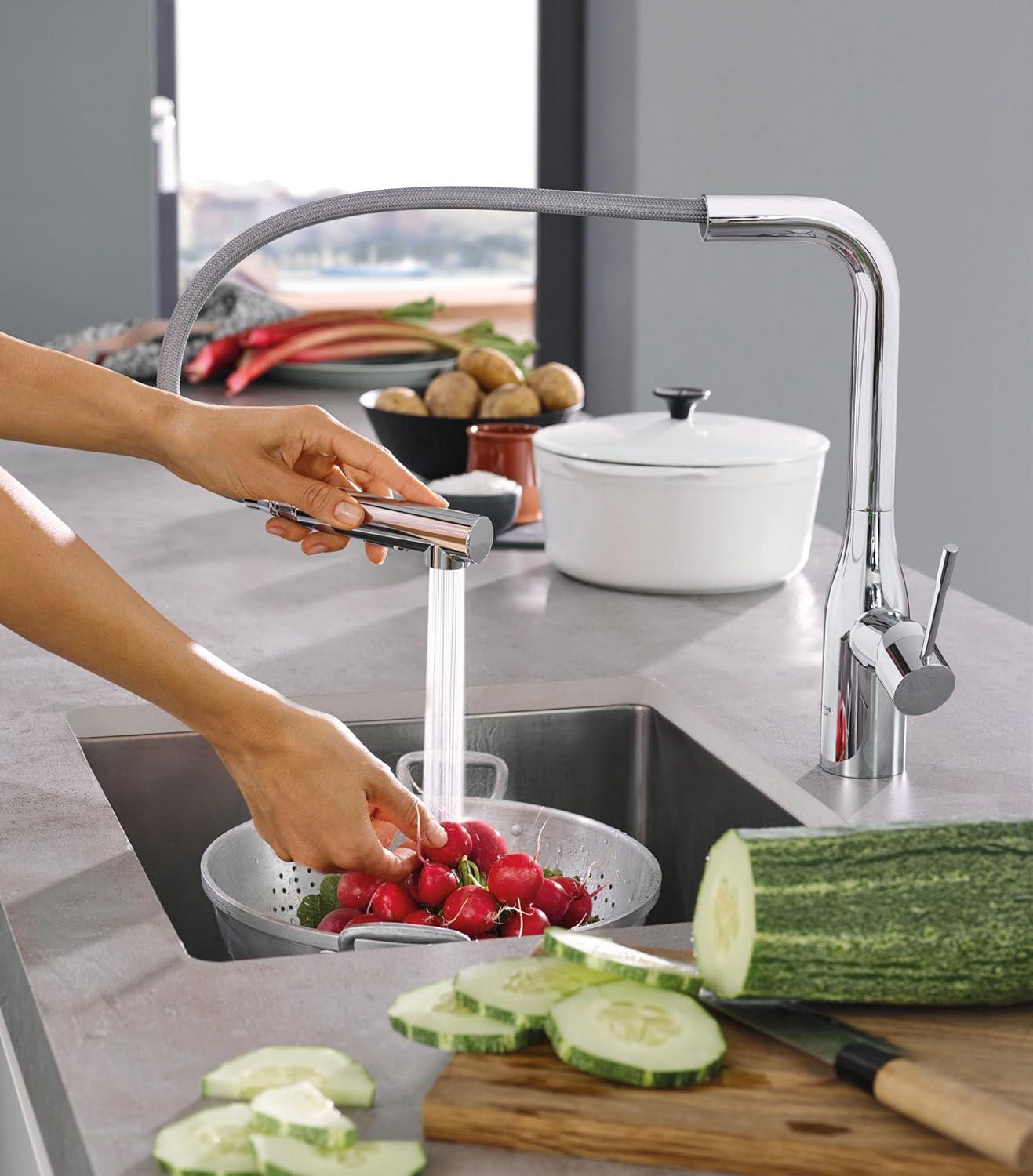 Essence Pull Out Single Handle Kitchen Faucet with Accessories