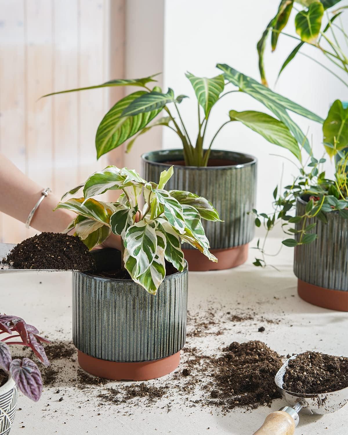 Reactive Glaze Black Ceramic Stripe Round Planter Set with Drainage Holes