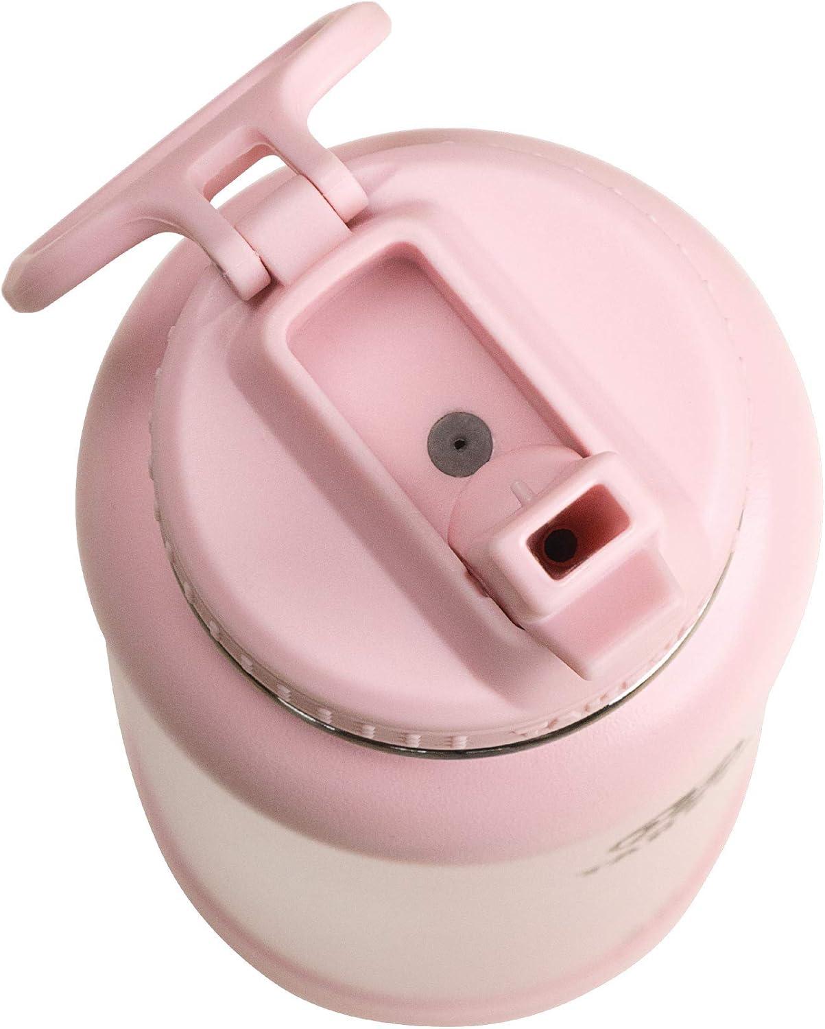 Takeya Actives Stainless Steel Water Bottle w/Straw lid, 24oz Blush