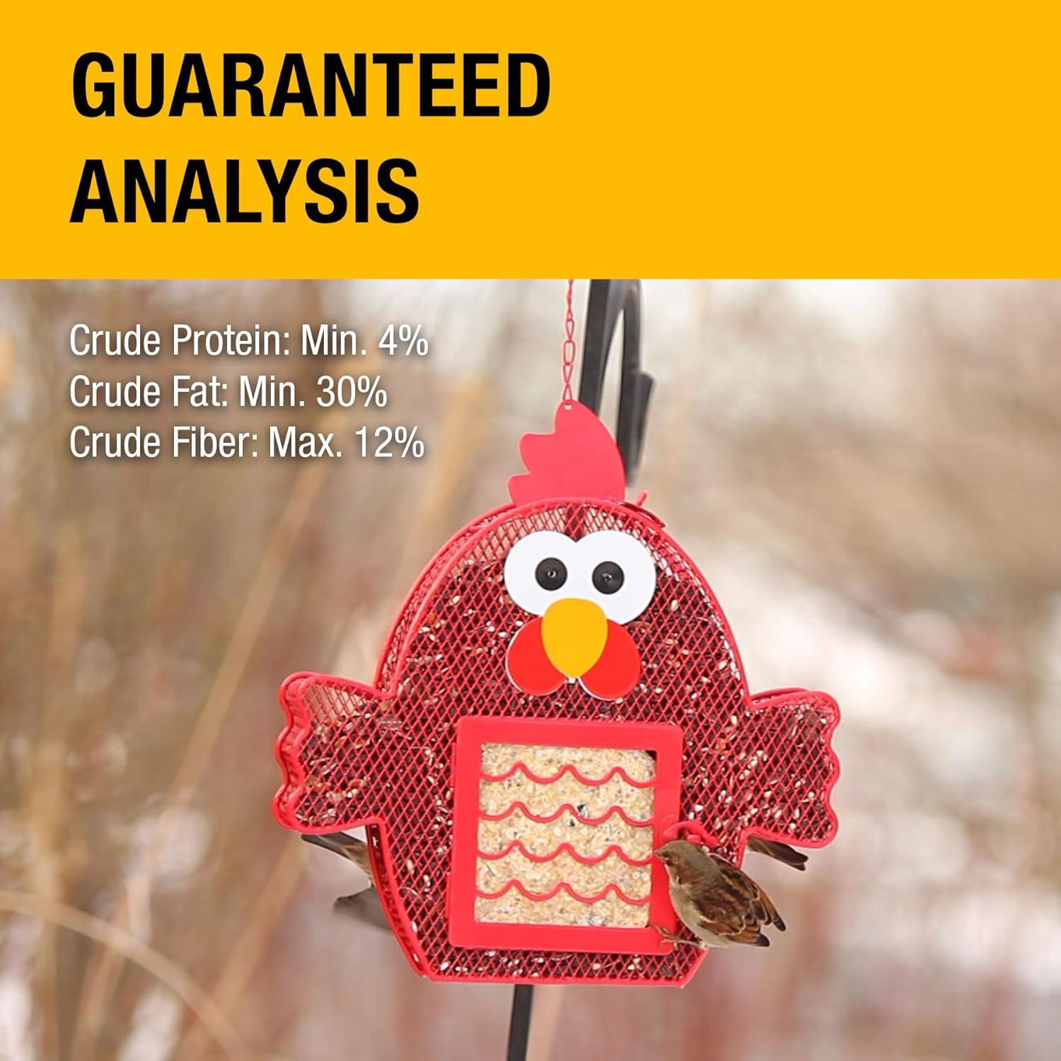 Heath Whimsical Chicken Suet 'n Seed Bird Feeder for Sunflower Seeds with 2 Free Bird's Blend Suet Cakes Included