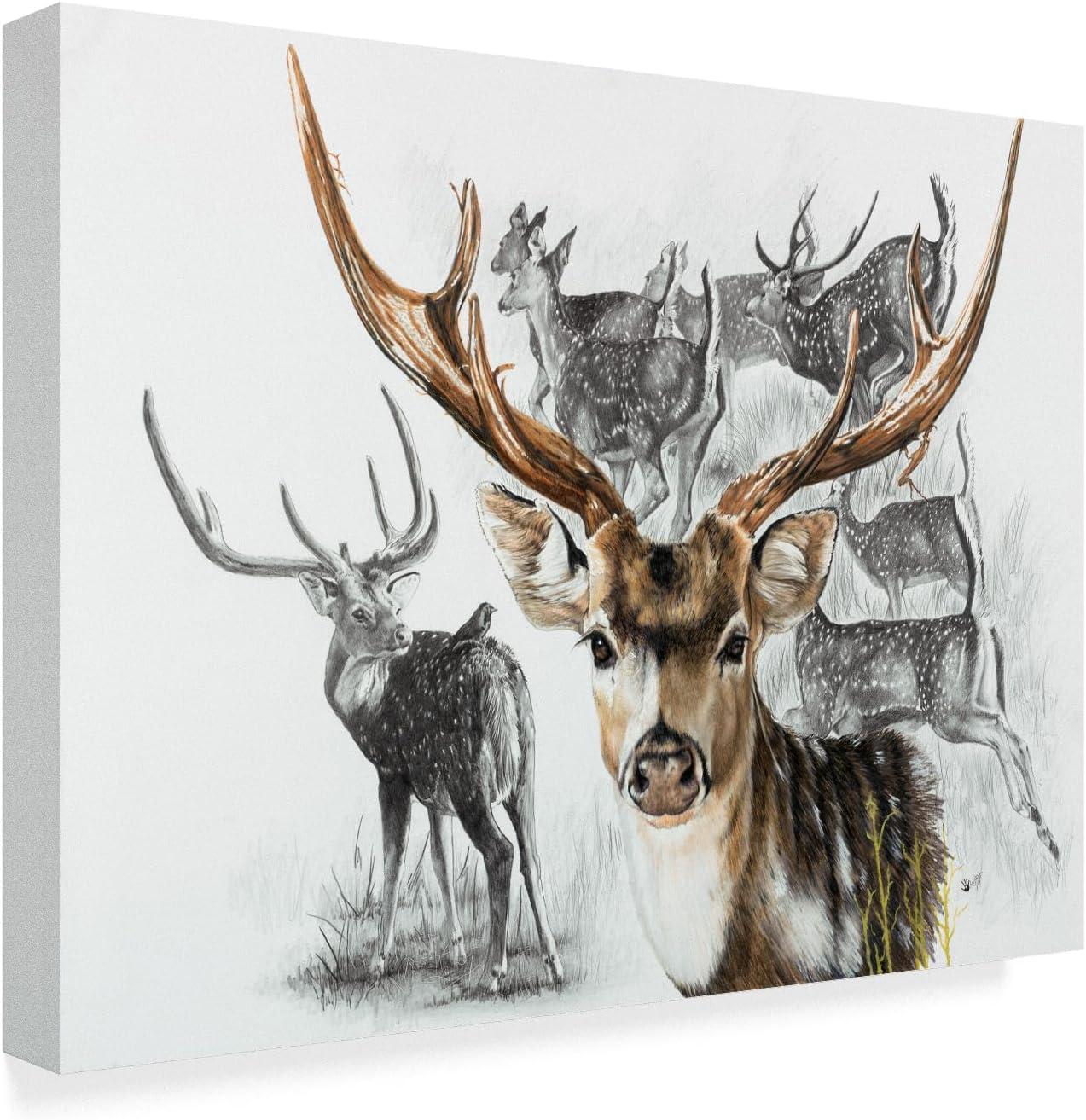 Axis Deer Framed Canvas Art in Black and Brown