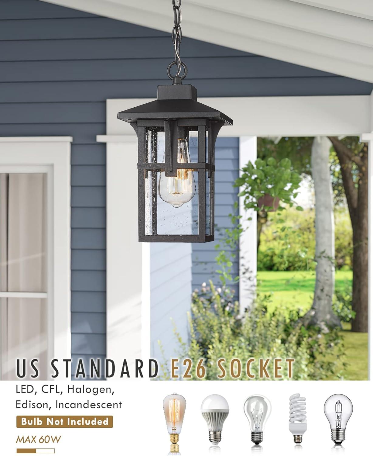 Matte Black Seeded Glass Outdoor Pendant Light