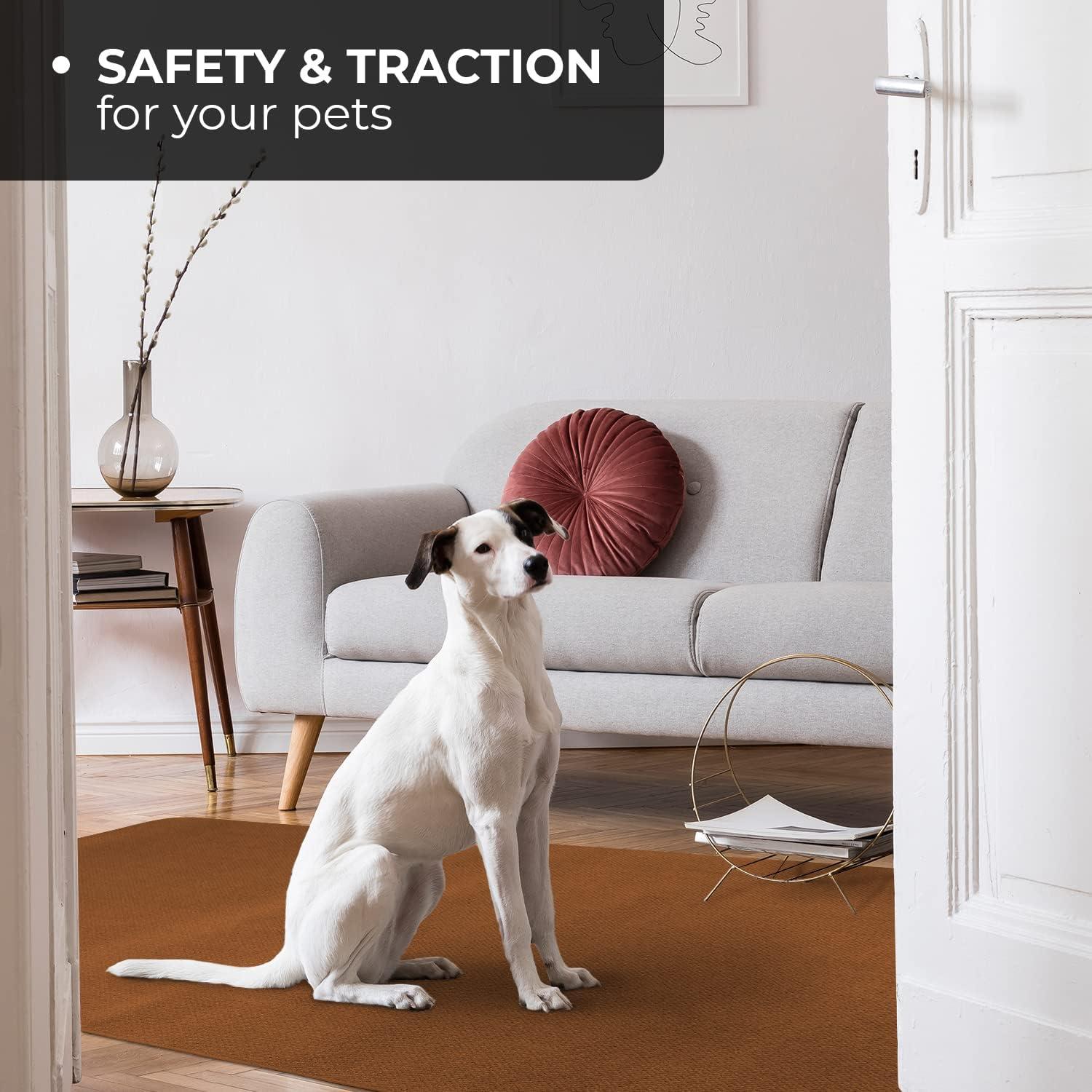 Skid-resistant Carpet Indoor Area Rug Floor Mat - Toffee Brown - 4' X 4' - Many Other Sizes to Choose From