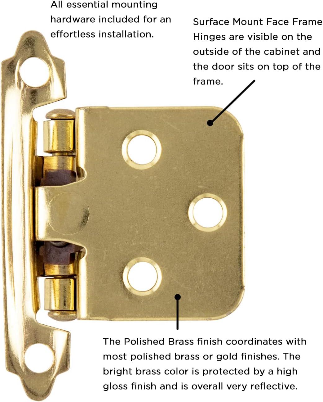 Polished Brass Self-Closing Flush Cabinet Hinges