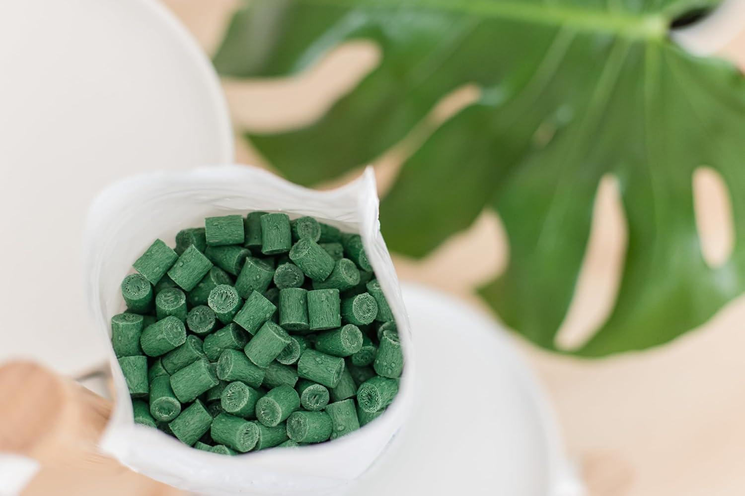 Houseplant Smart Gravel – Eco-Friendly Drainage Rocks for Potted Plants | Enhances Soil Aeration & Prevents Root Rot | Overwatering Solution | Sustainably Made from Recycled Ocean Plastics (32 oz)