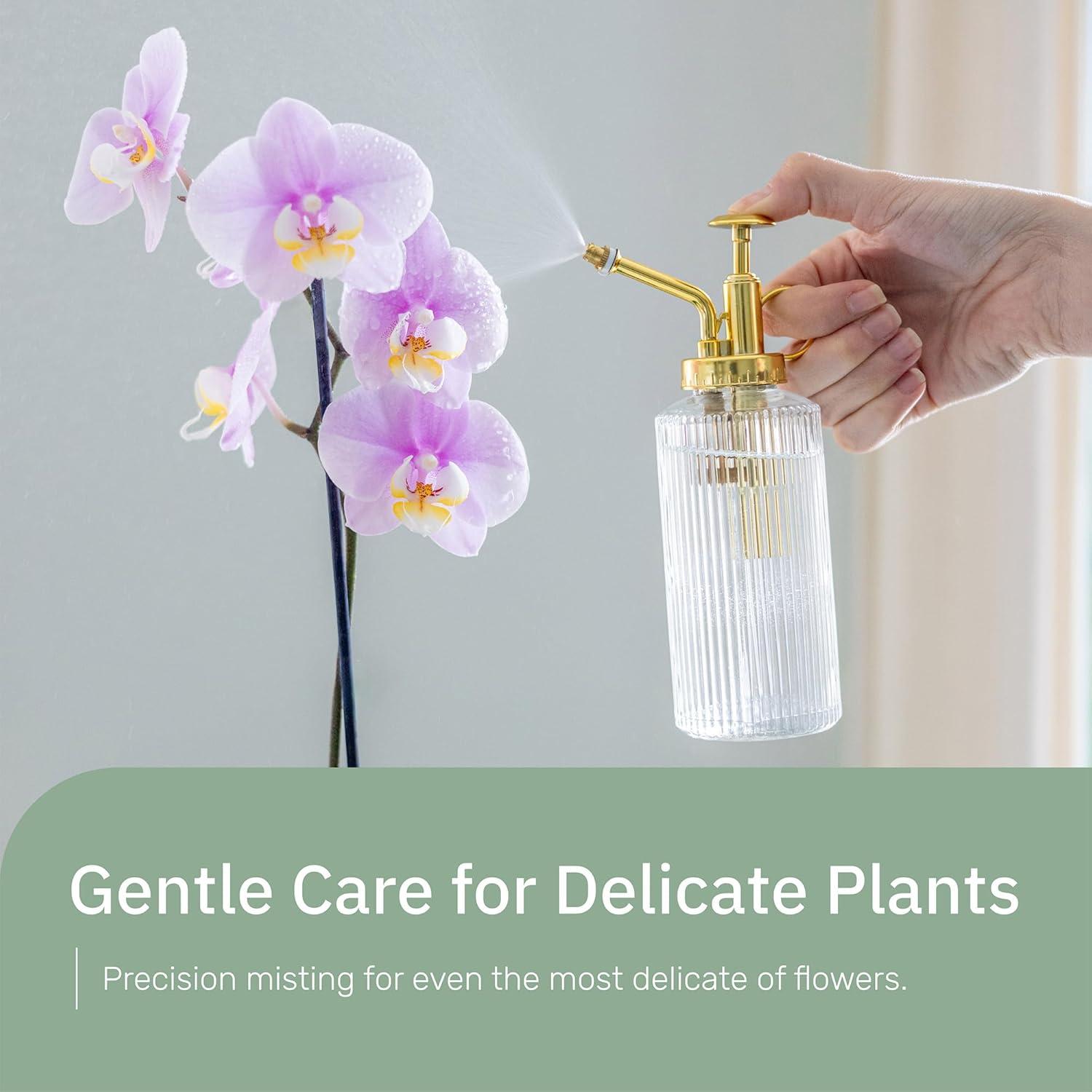 Glass Plant Mister for Inside, Mister for Plants, Plant Sprayer Mister, Decorative Plant Mister Spray Bottle with Adjustable Nozzle for Indoor Plants (230ml/ 7.8oz) - Clear