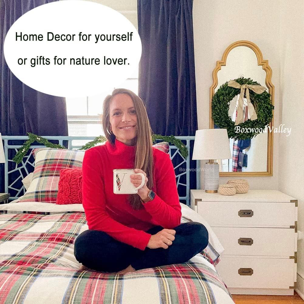 Alby Preserved Boxwood Real Greenery Wreath