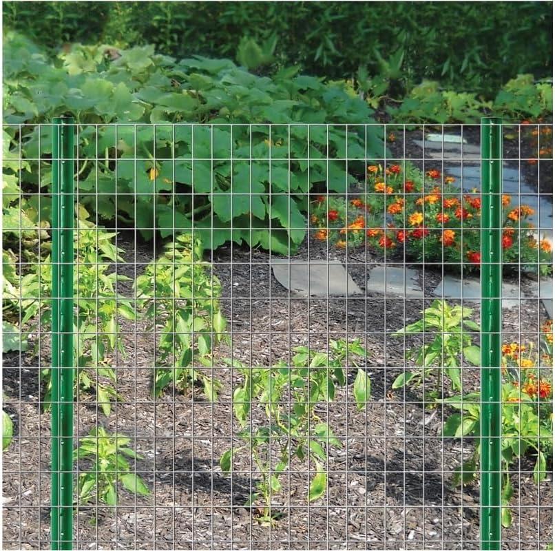 Garden Zone 36 in. H x 50 ft. L Steel Fence