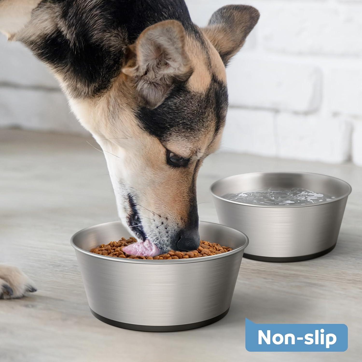 Syrinx Kitchen Stainless Steel Metal Dog Bowls - Nonslip, Dishwasher Safe, Easy to Clean - 2 PackEach Holds 2 US Cup