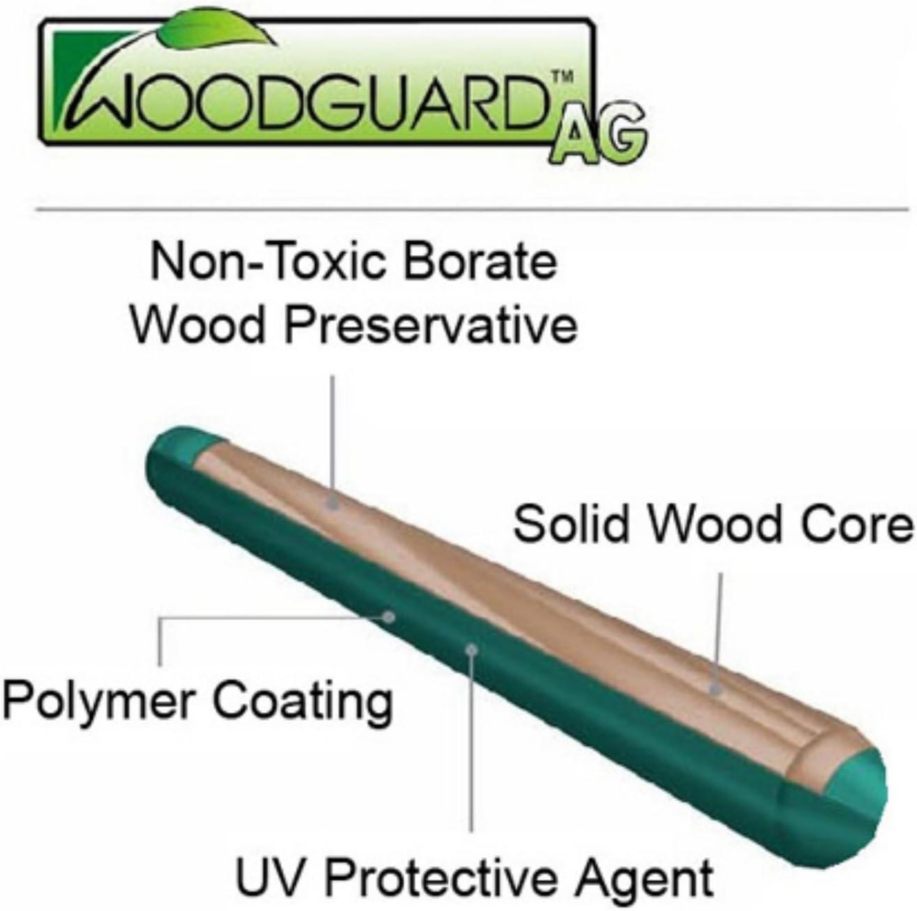 Kidwise Congo Monkey White and Sand Playsystem 4