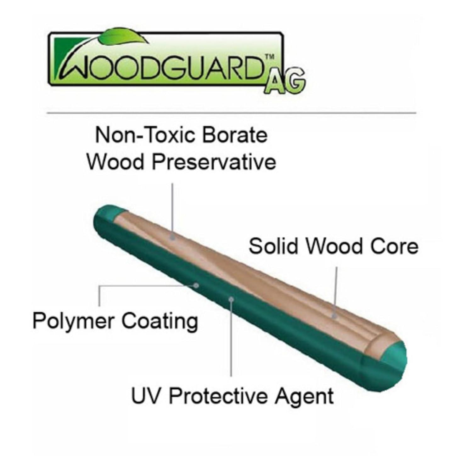 Kidwise Congo Monkey White and Sand Playsystem 4