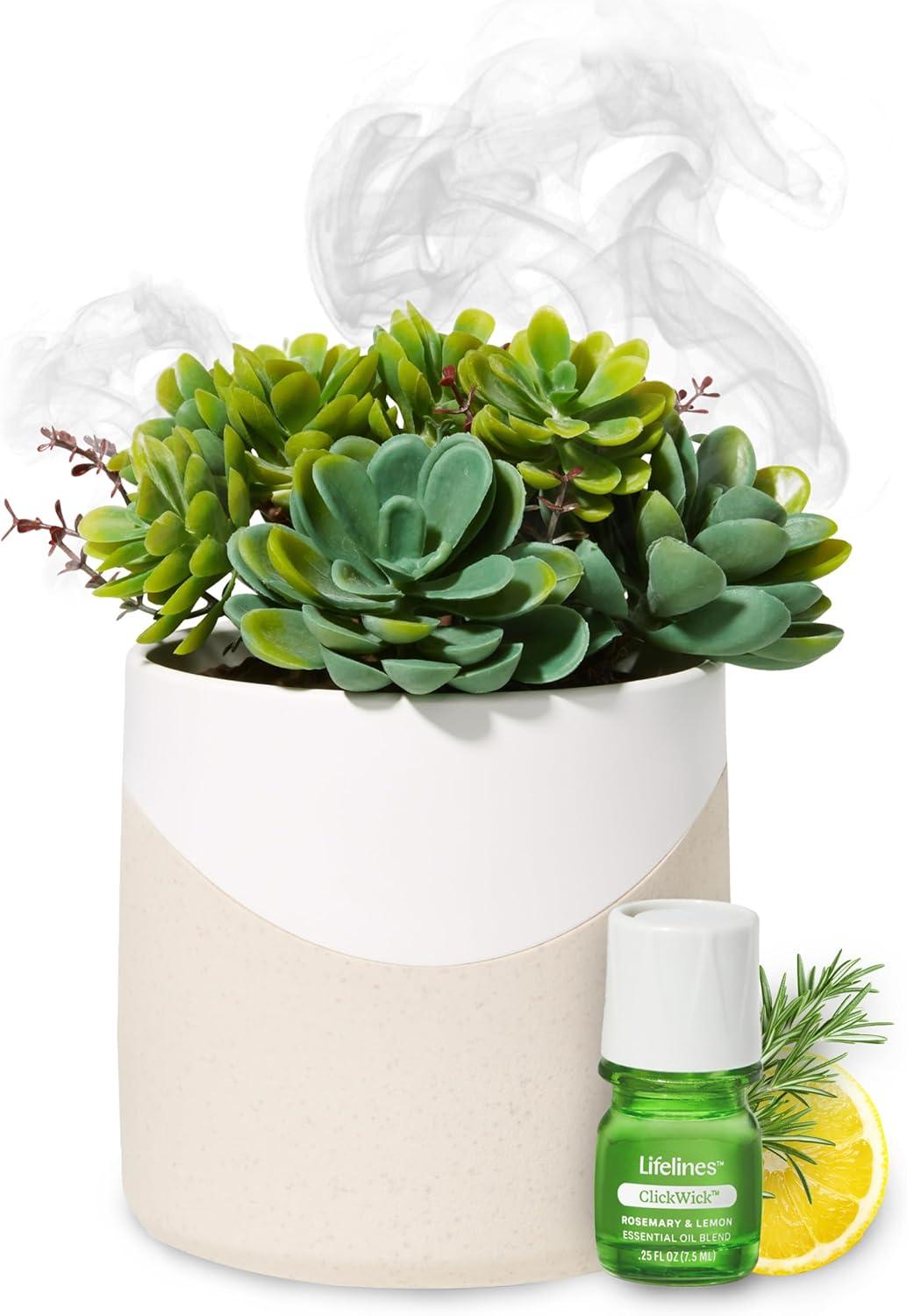 Lifelines Planter Diffuser - Succulent