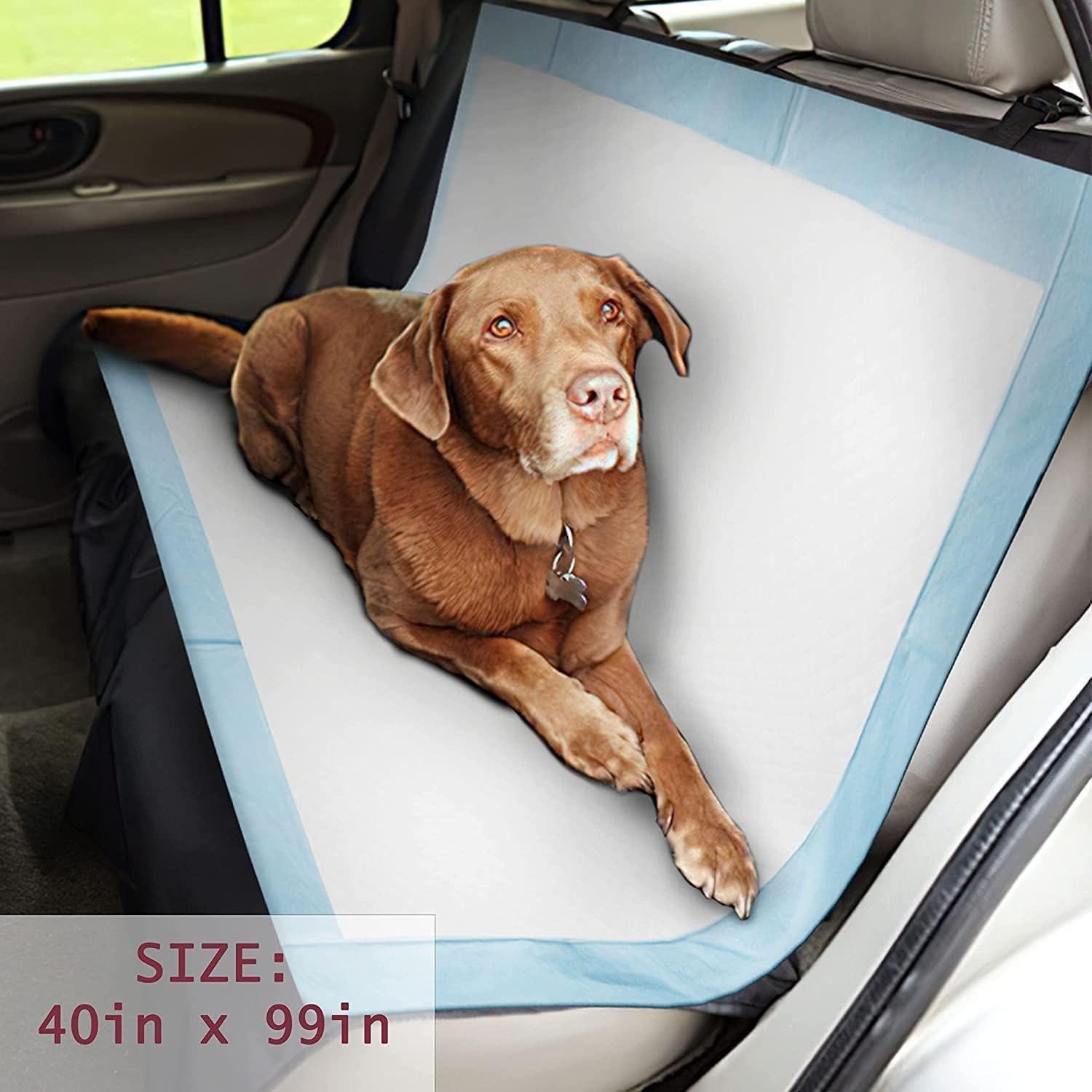 Gigantic Blue Dog Pee Pads with Adhesive Backing