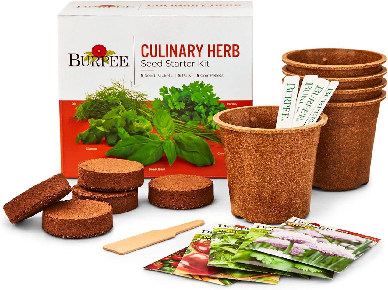 Burpee Culinary Herb Seed Starter Kit