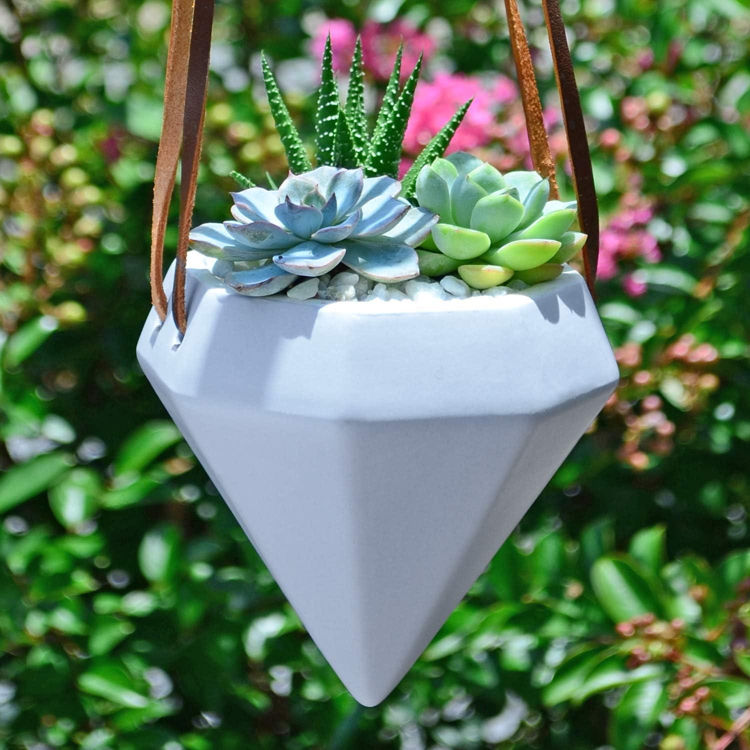 Guilford Ceramic Hanging Planter