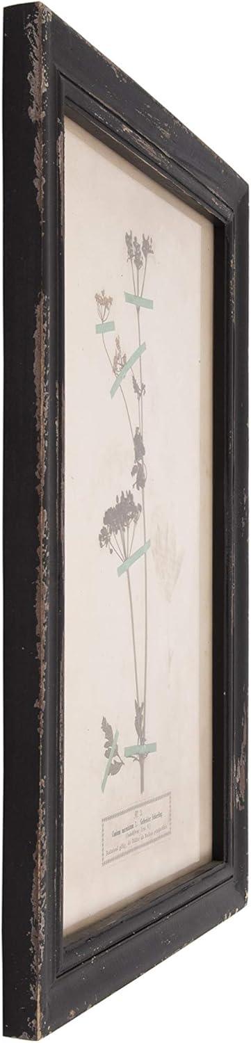 Distressed Black Wood Framed Botanical Wall Plaques Set of 16