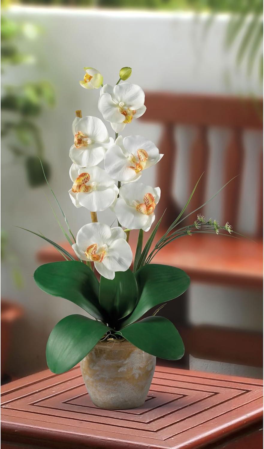 Nearly Natural Single Stem Phalaenopsis Silk Orchid Arrangement