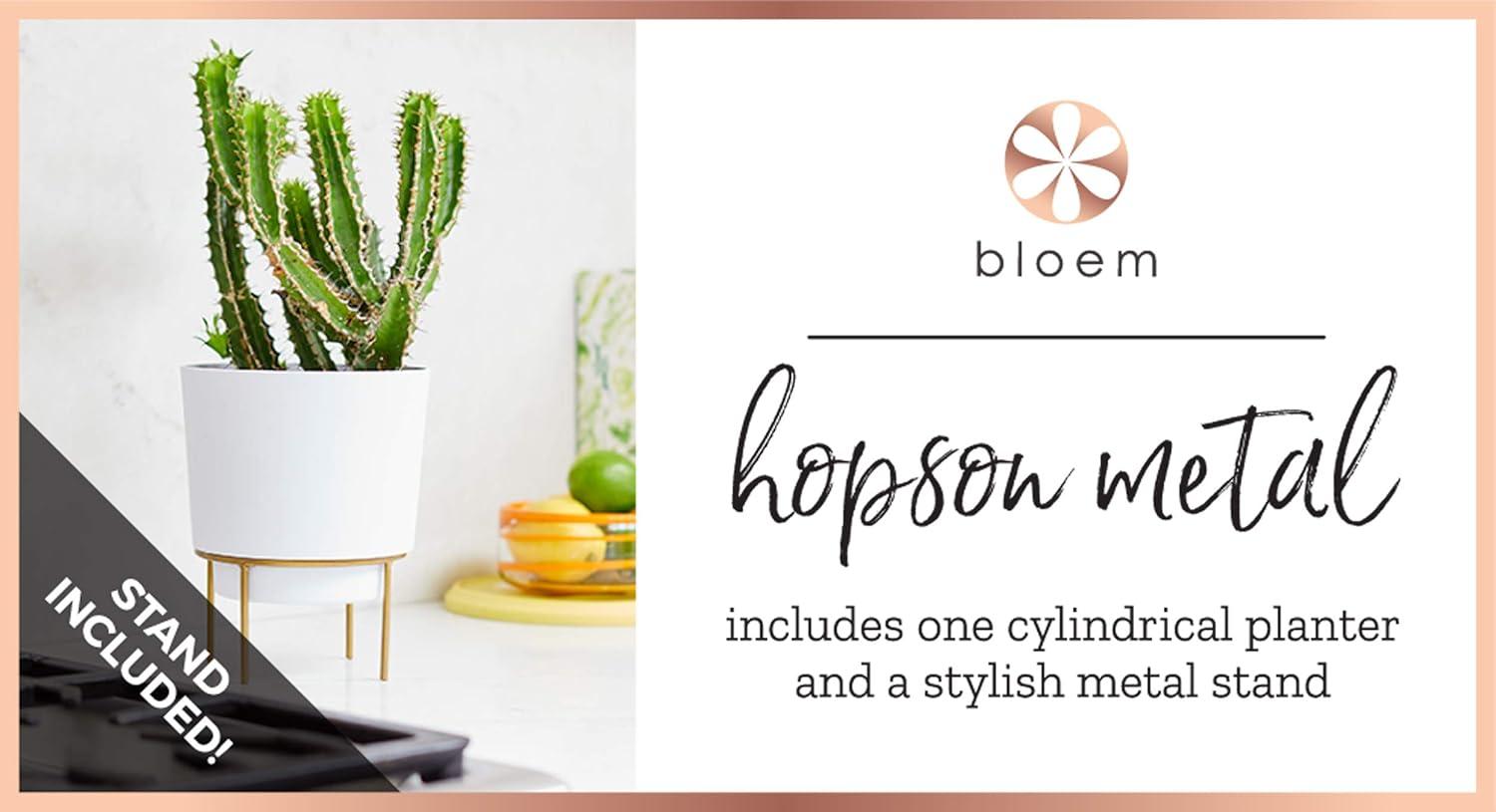 Bloem Hopson 12 in. H X 10 in. D Metal/Plastic Planter with Stand Casper White