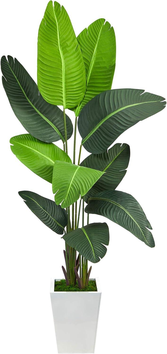 Lifelike Variegated Palm 61" Artificial Tree in White Planter