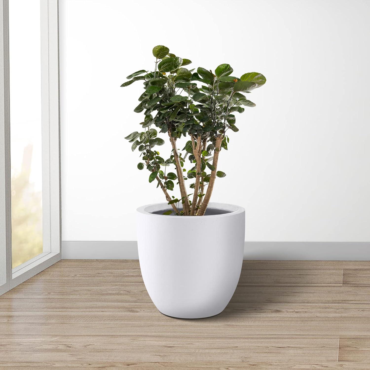 Kante  12 in. Tall Lightweight Concrete Indoor/Outdoor Round Planter white