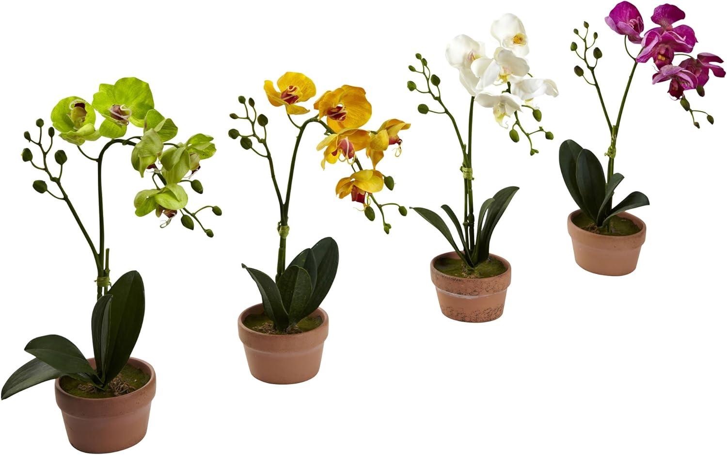 Nearly Natural Phalaenopsis Orchid with Clay Vase (Set of 4)