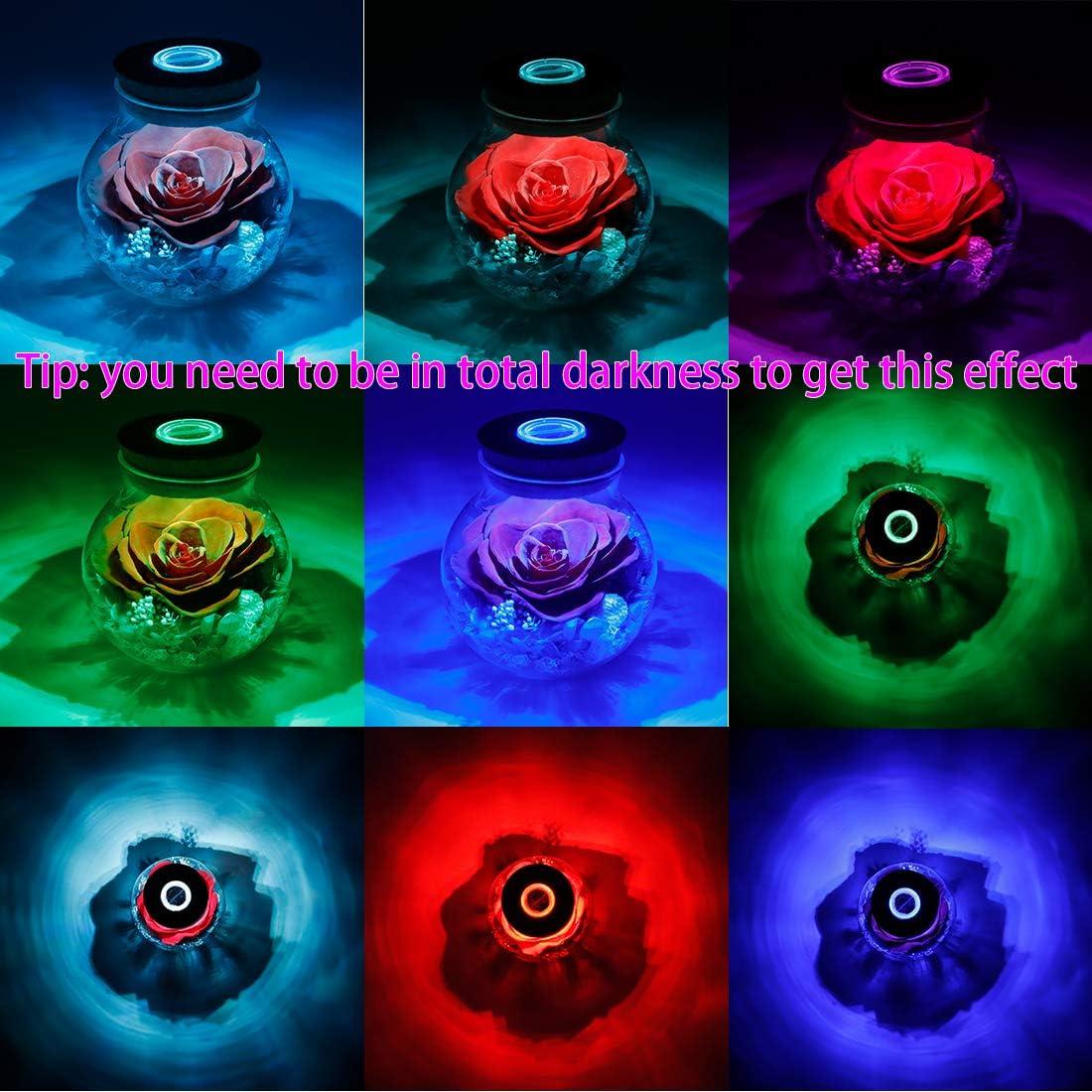 Preserved Real Roses with Colorful Mood Light Wishing Bottle, Eternal Rose，Never Withered Flowers, Table Decor,Christmas Anniversary Valentine's, Red 4.3inch, 1pcs