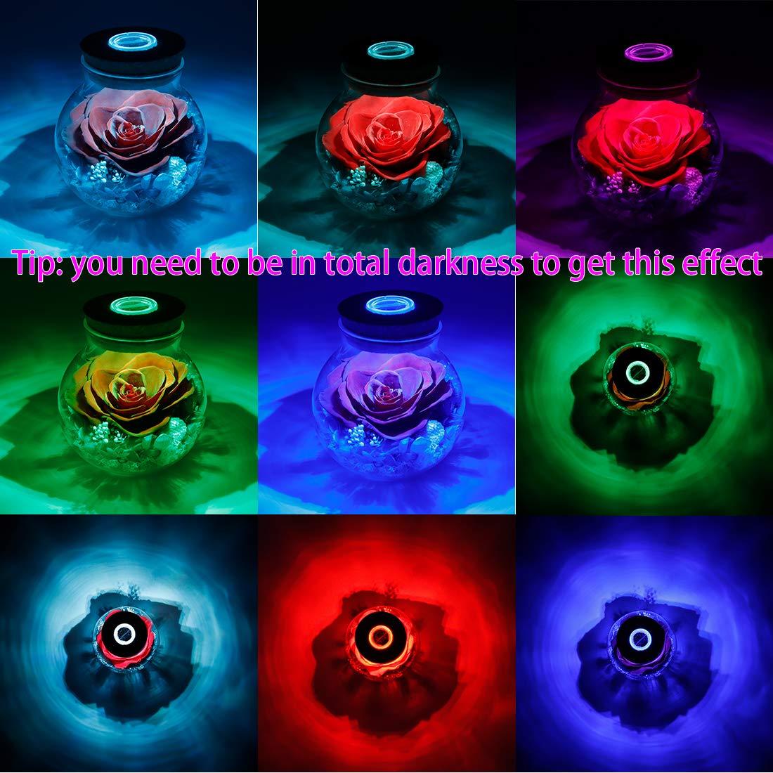 Preserved Real Roses with Colorful Mood Light Wishing Bottle, Eternal Rose，Never Withered Flowers, Table Decor,Christmas Anniversary Valentine's, Red 4.3inch, 1pcs
