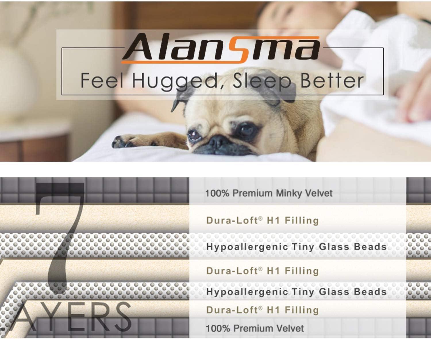 ALANSMA Weighted Blanket for All Season, Luxury Velvet, Warm and Cool, Adult Kids Reversible 15Lb Weighted Blanket, Enjoy Sleeping Anywhere(Pink,60"x80" 15lbs)