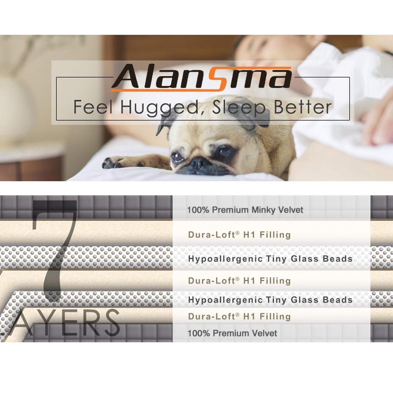 ALANSMA Weighted Blanket for All Season, Luxury Velvet, Warm and Cool, Adult Kids Reversible 15Lb Weighted Blanket, Enjoy Sleeping Anywhere(Pink,60"x80" 15lbs)