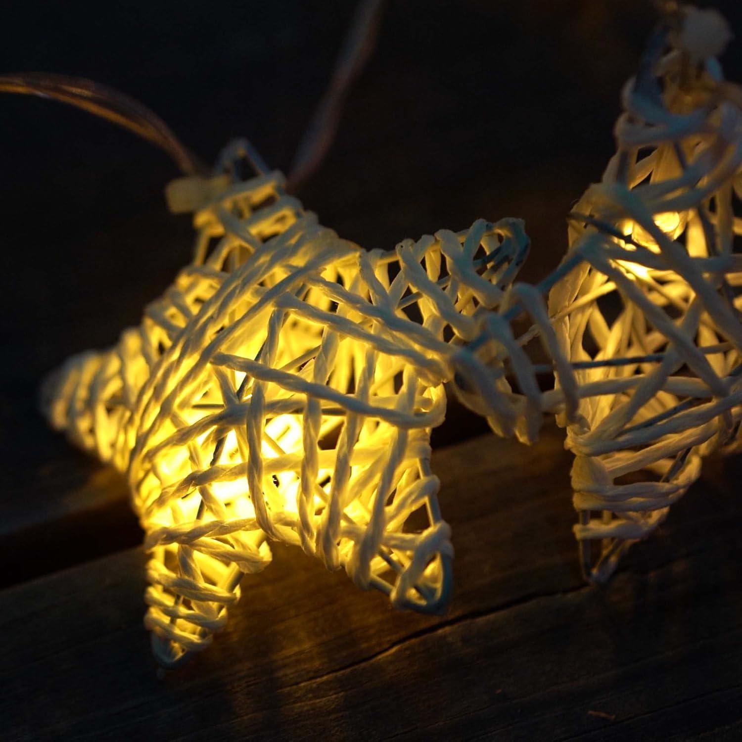The Holiday Aisle® LED Net Lights