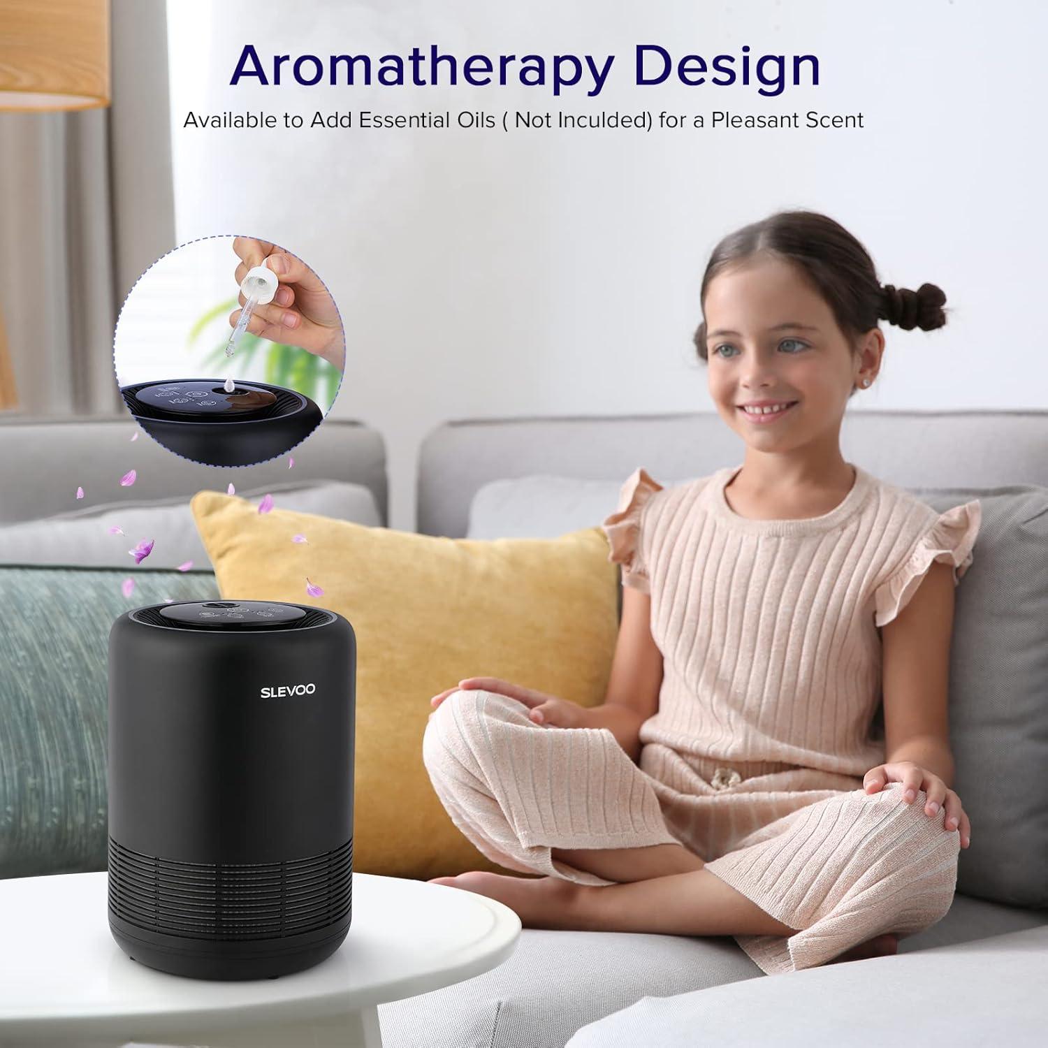 Black HEPA Filter Air Purifier with Odor Absorbing