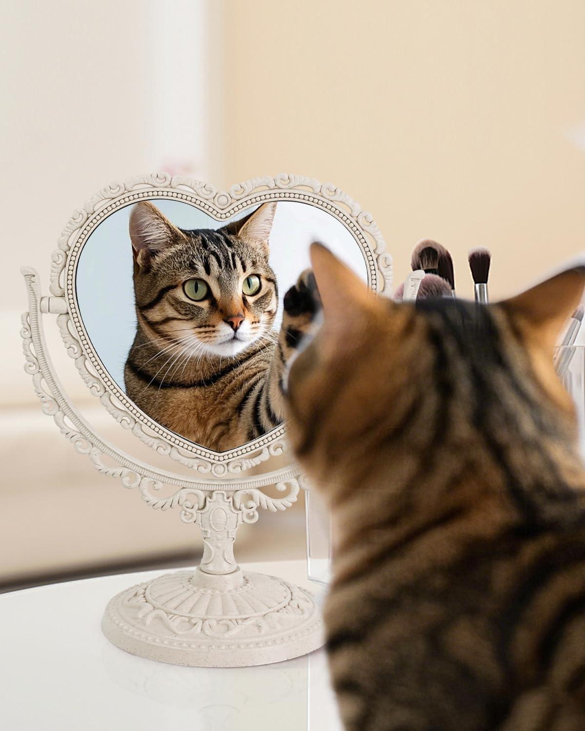 D&XQAUO Vintage Heart Mirror for Desk Cute Coquette Room Decor Small Mirror with Stand,Vanity & Bathroom Double-Sided Rotating Makeup Table Mirror