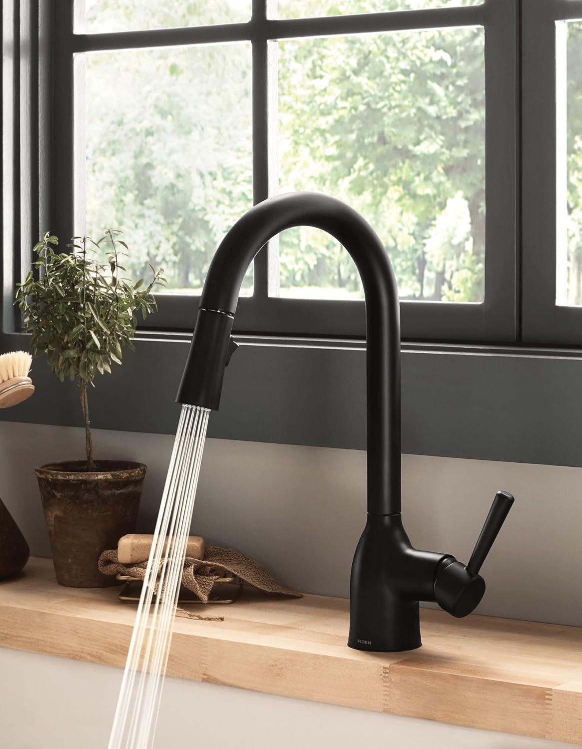 Moen Adler Pull Down Single Handle Kitchen Faucet with Accessories 87233BL