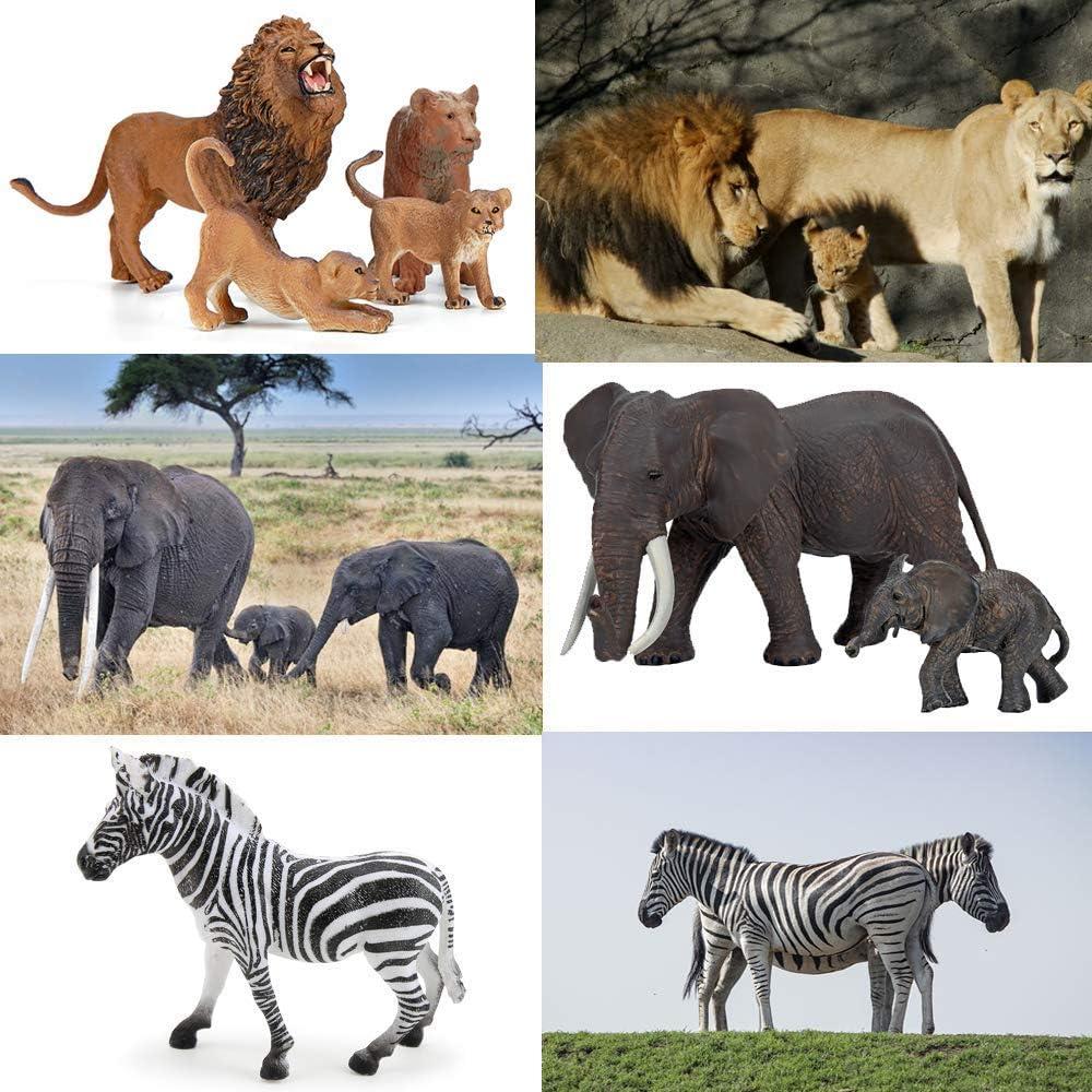 Safari Zoo Animals Figures Toys, 14 Piece Realistic Jungle Animal Figurines, African Wild Plastic Animals with Lion, Elephant, Giraffe Educational Learning Playset for Toddlers, Kids, Childr