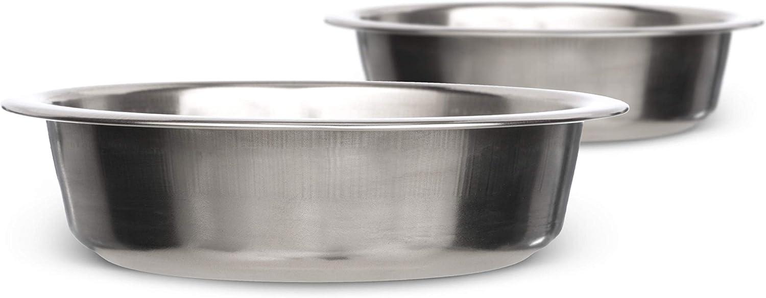 Small Stainless Steel Pet Bowl for Food and Water