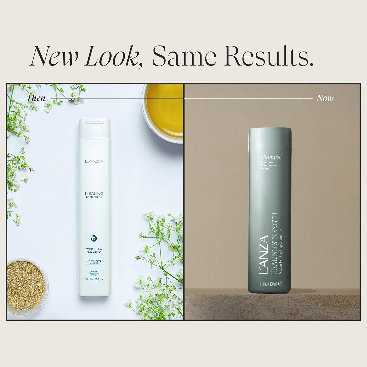 L'ANZA Healing Strength White Tea Shampoo, Shampoo For Dry, Damaged Hair, Boosts Shine, Strengthens, and Restores Weak, Fragile, Aged Hair Against Split Ends & Frizz Control, New Bottle