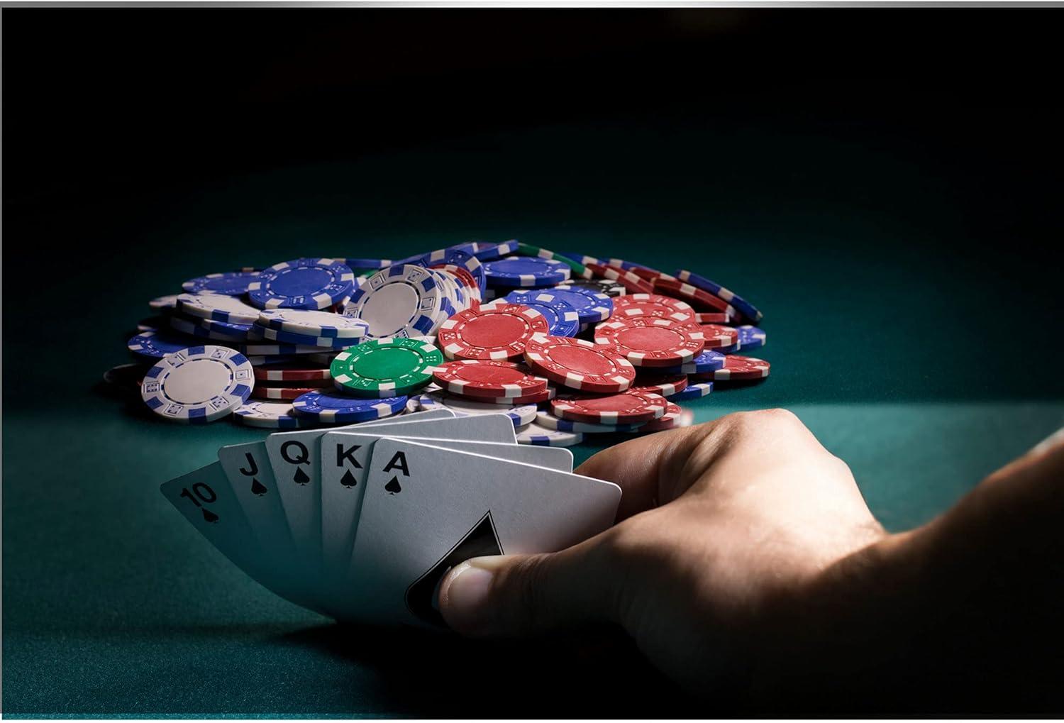 Fat Cat Fat Cat Texas Hold'em 500-Piece Poker Chips and Accessory Set