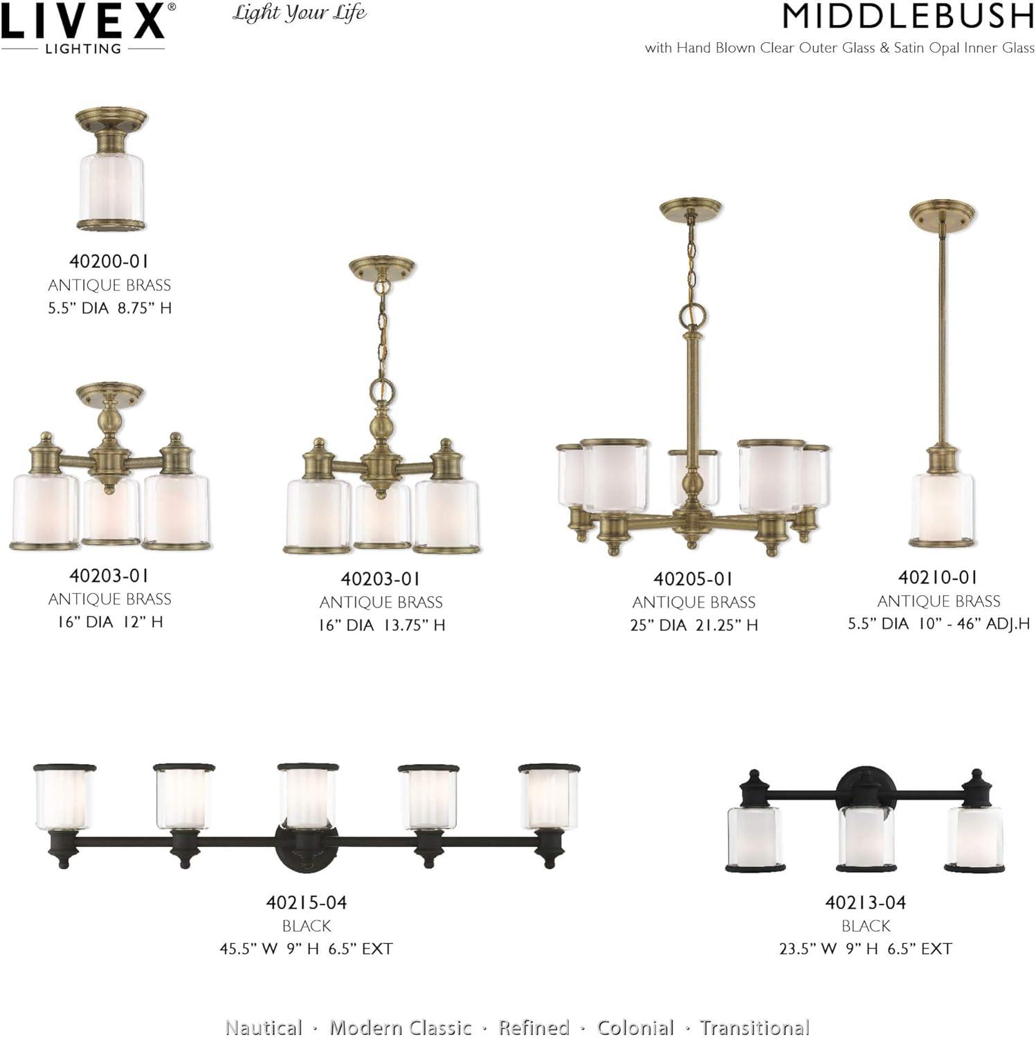 Middlebush 5-Light Polished Nickel Chandelier with Double Glass Shades