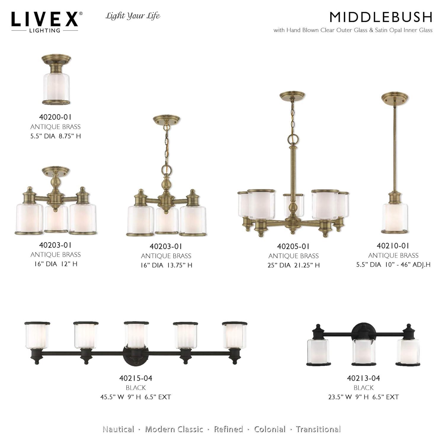 Middlebush 5-Light Polished Nickel Chandelier with Double Glass Shades