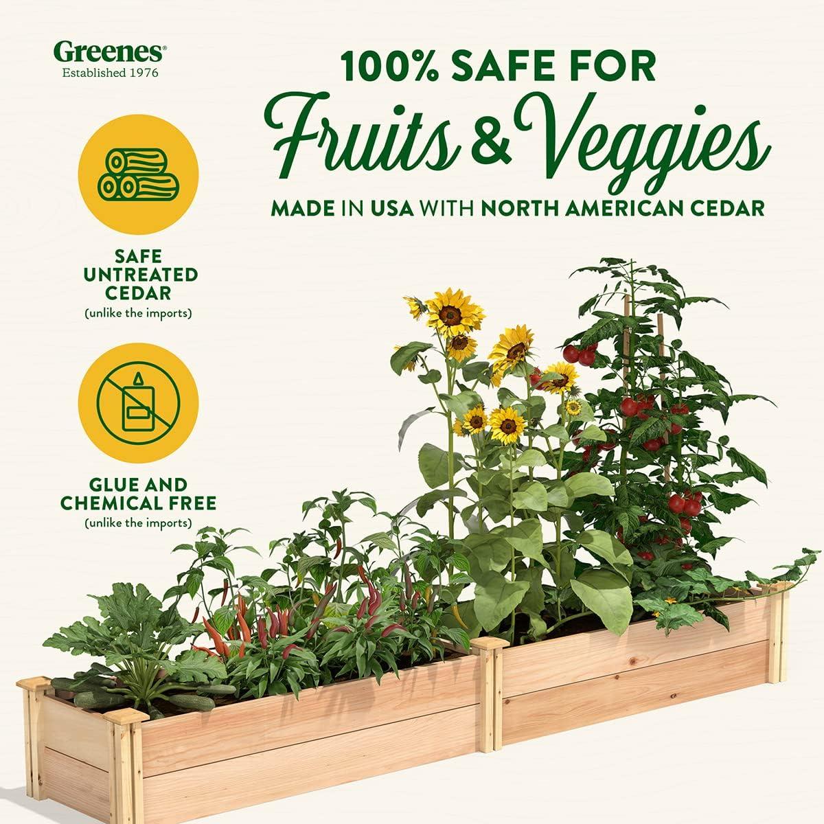 Premium Cedar Extra Large Raised Garden Bed with Natural Finish